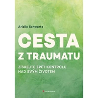 Cesta z traumatu - E-kniha