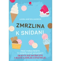 Zmrzlina k snídani - E-kniha