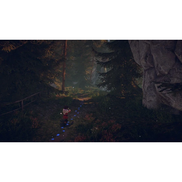 Skábma Snowfall (PS4) - Hry pro PS4 - Obrázek 9BF2G00101