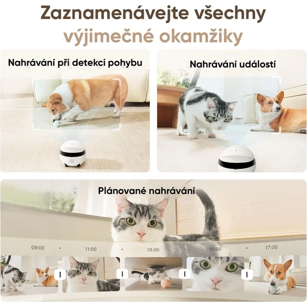 Enabot ROLA Mini bílá - IP kamery - Obrázek 9Z8L000K01