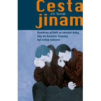Cesta jinam - E-kniha