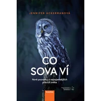Co sova ví - E-kniha