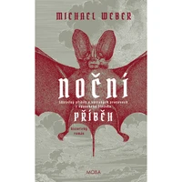 Noční příběh - E-kniha