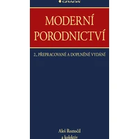 Moderní porodnictví - E-kniha