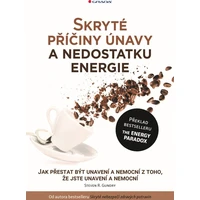 Skryté příčiny únavy a nedostatku energie - E-kniha