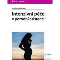 Intenzivní péče v porodní asistenci - E-kniha