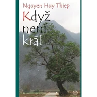 Když není král - E-kniha
