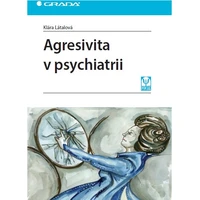 Agresivita v psychiatrii - E-kniha