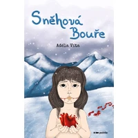 Sněhová bouře - E-kniha