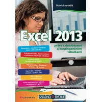 Excel 2013 - E-kniha