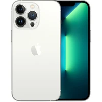 Apple iPhone 13 Pro 1TB stříbrný - Mobilní telefony