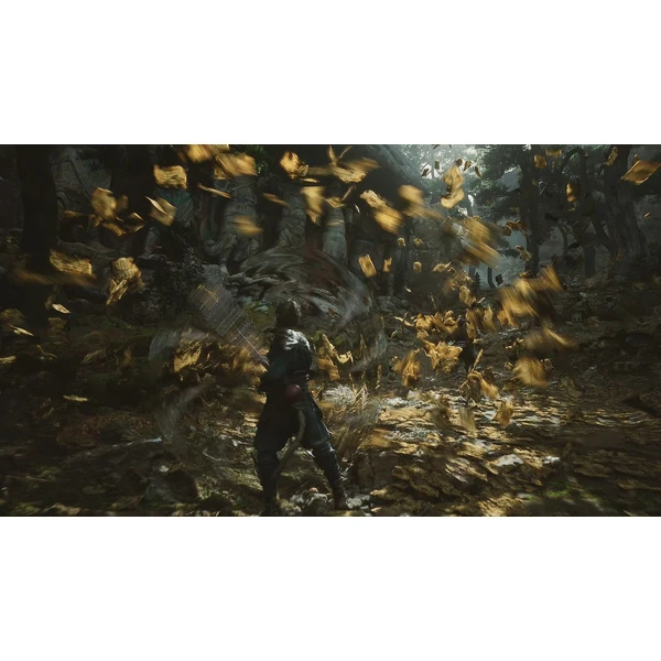 Black Myth: Wukong (PS5) - Hry pro PS5 - Obrázek A4BA000J01