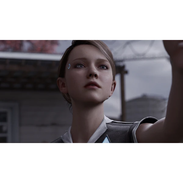DETROIT Become Human (PS4) - Hry pro PS4 - Obrázek A8Y3100201