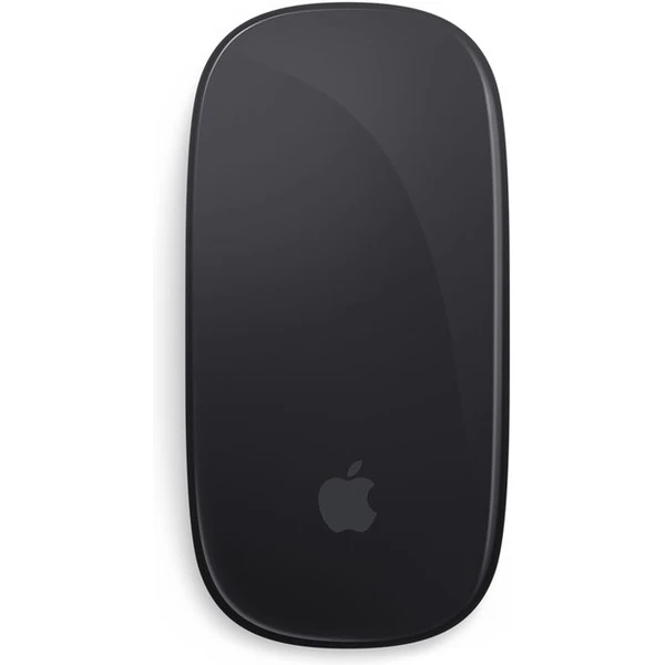 Apple Magic Mouse 2 vesmírně šedá (Další) - Myši - Obrázek AUHP000101