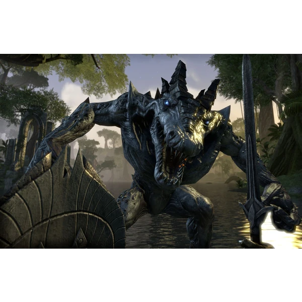 The Elder Scrolls Online (všechny edice) (PS4) - Hry pro PS4 - Obrázek AYQ5100201