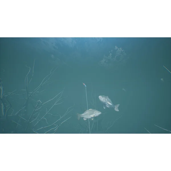 Bassmaster Fishing 2022 (PS4) - Hry pro PS4 - Obrázek BART600301