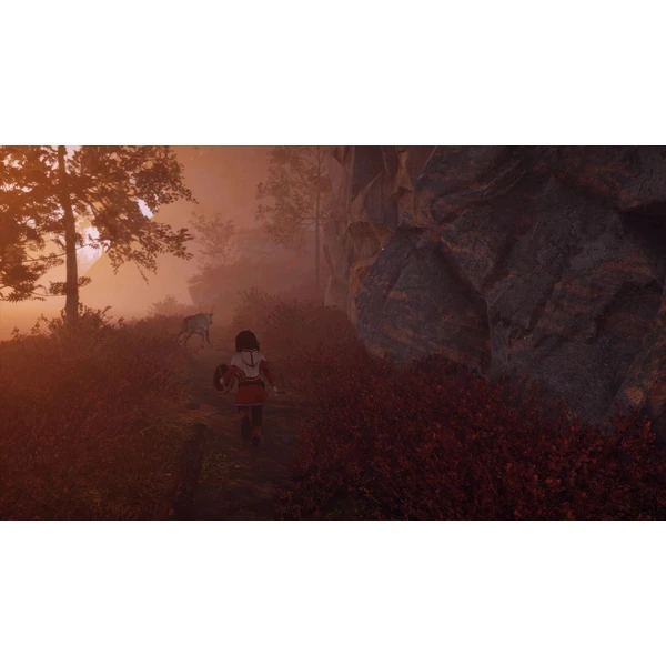 Skábma Snowfall (PS4) - Hry pro PS4 - Obrázek BBF2G00101