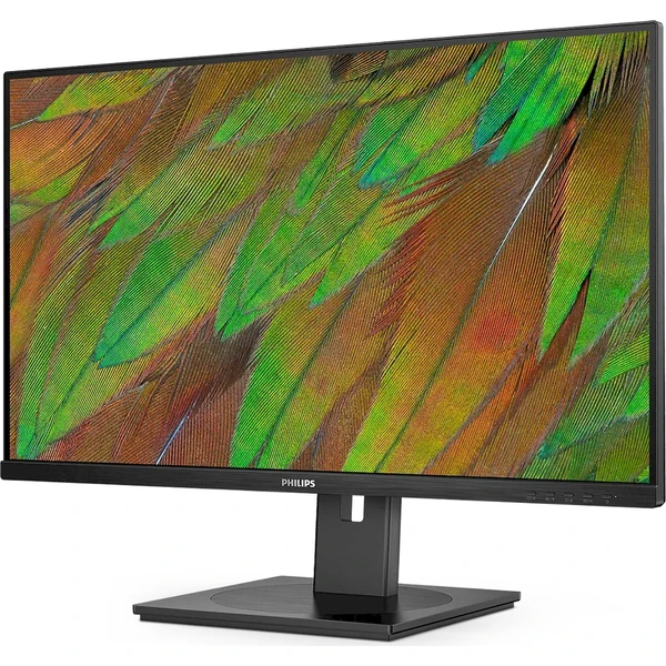 Philips 32B1N3800/00 31,5" - Monitory - Obrázek BD1P000K01