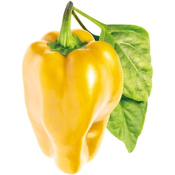 Click and Grow sladká žlutá paprika kapsle se semínky a substrátem 3ks
