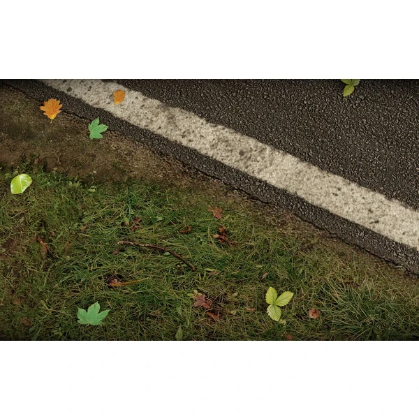 Project CARS (Xbox One) - Hry pro Xbox One - Obrázek BY35100201