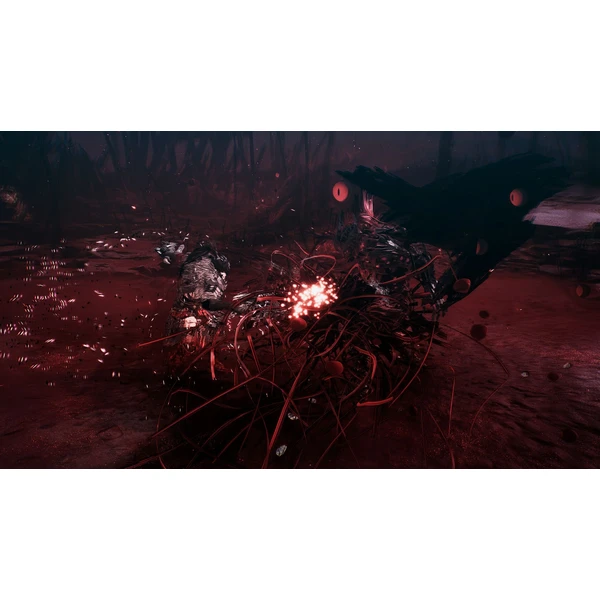 The First Berserker: Khazan (PS5) - Hry pro PS5 - Obrázek C1LC000J01