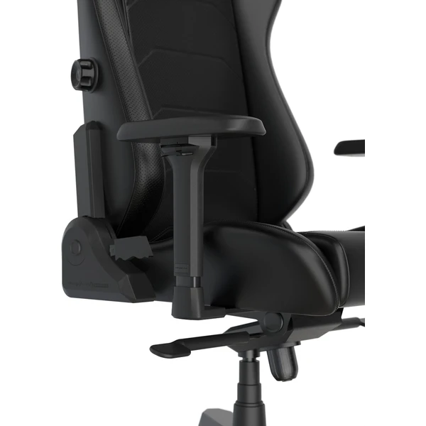 DXRacer MASTER herní židle černá - Židle - Obrázek C34D000O01