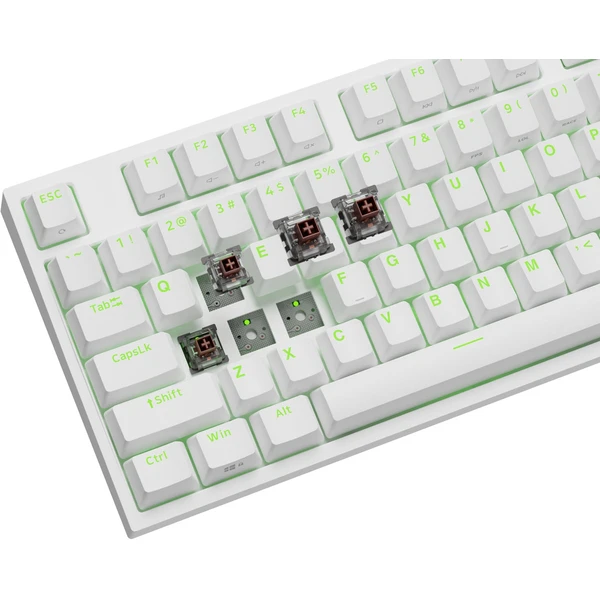Genesis THOR 404 herní mechanická klávesnice Khail Box Brown/US layout/Bílá - Klávesnice - Obrázek C3M0000P01