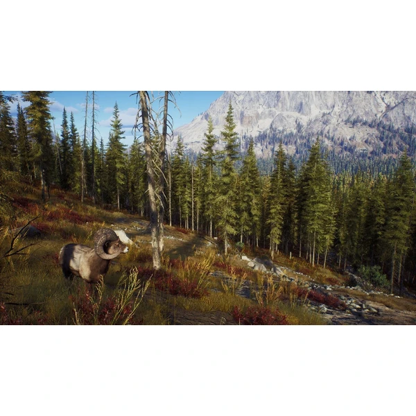Way of the Hunter - Hunting Season One (PS5) - Hry pro PS5 - Obrázek CEZ6000701