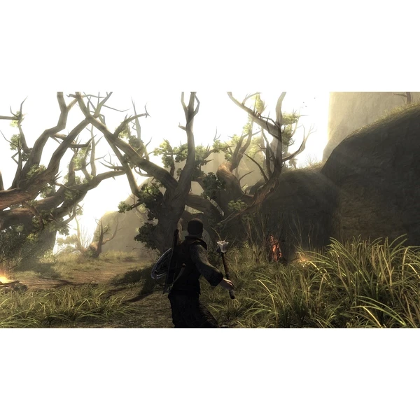 Risen (PS4) - Hry pro PS4 - Obrázek CFBJ300401