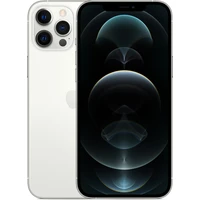 Apple iPhone 12 Pro Max 256GB stříbrný - Mobilní telefony
