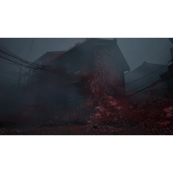 Silent Hill f (XSX) - Hry pro Xbox Series - Obrázek D61D000K01