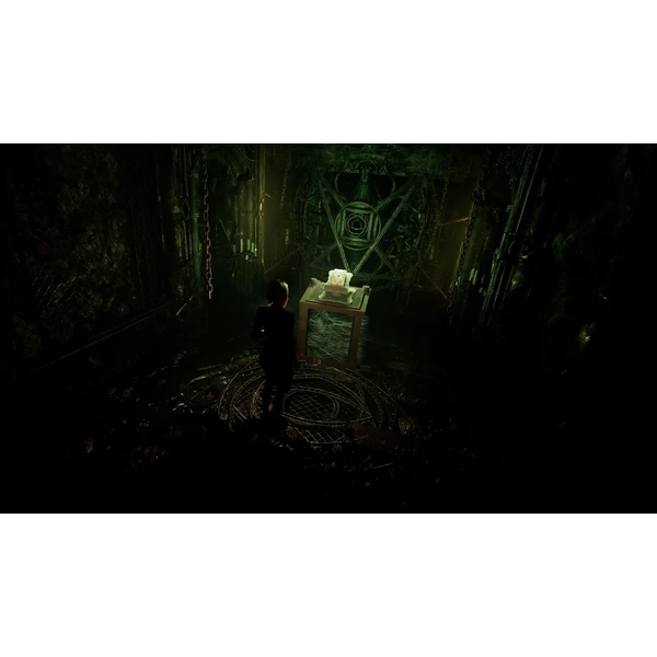 Tormented Souls 2 (PS5) - Hry pro PS5 - Obrázek D7LH000N01