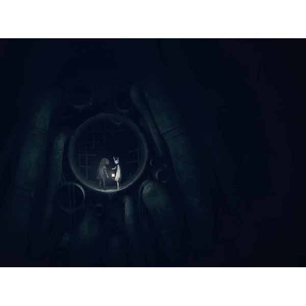 Reanimal Collector's Edition (PS5) - Hry pro PS5 - Obrázek DEHG000K01