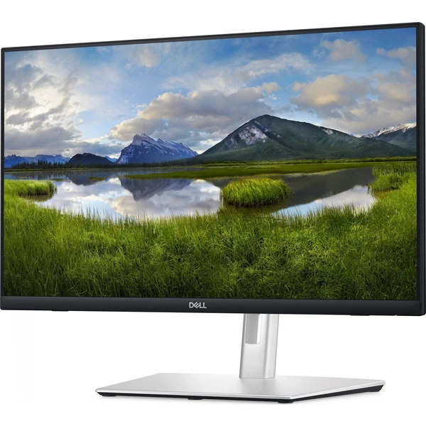 Dell P2424HT monitor 24" - Monitory - Obrázek DLC0000L01
