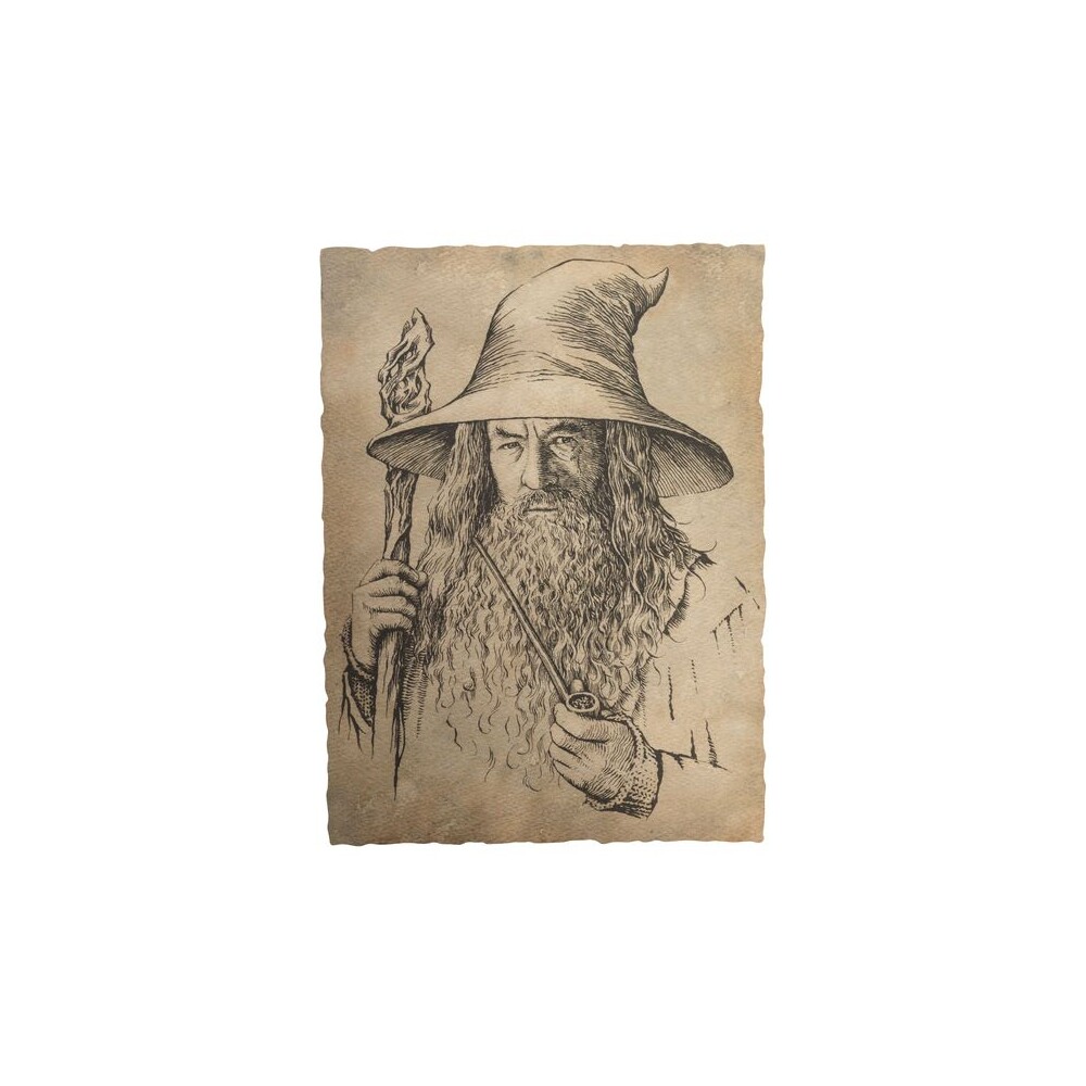Art print Lord of the Rings - Portrait of Gandalf the Grey