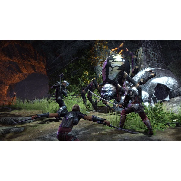 The Elder Scrolls Online (všechny edice) (PS4) - Hry pro PS4 - Obrázek DYQ5100201
