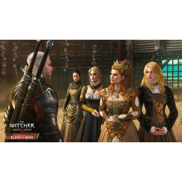 Zaklínač 3: Divoký Hon Kompletní Edice (SWITCH) - Hry pro Nintendo Switch - Obrázek DZE3100201