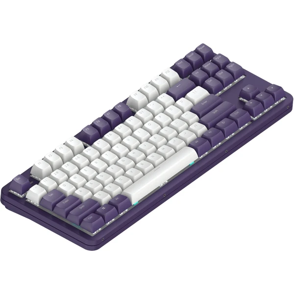 Dark Project ALU87A Violet mechanická klávesnice (US) - Klávesnice - Obrázek E4IA000O01