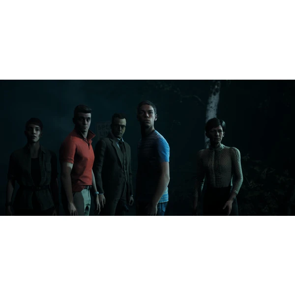 The Dark Pictures Anthology - Little Hope (Xbox One) - Hry pro Xbox One - Obrázek EAO3100201