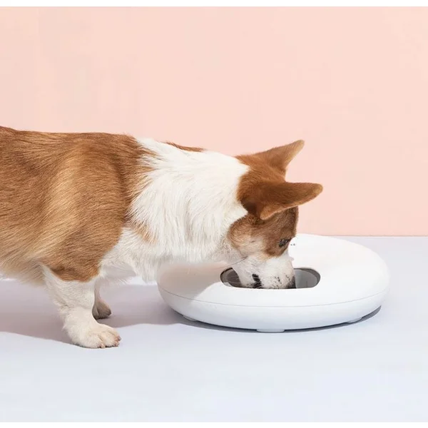 Petwant F6 Wi-Fi automatický dávkovač 6 porcí - Misky a krmítka - Obrázek EAQN500301