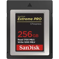 SanDisk Extreme Pro CFexpress paměťová karta 256GB - Paměťové karty