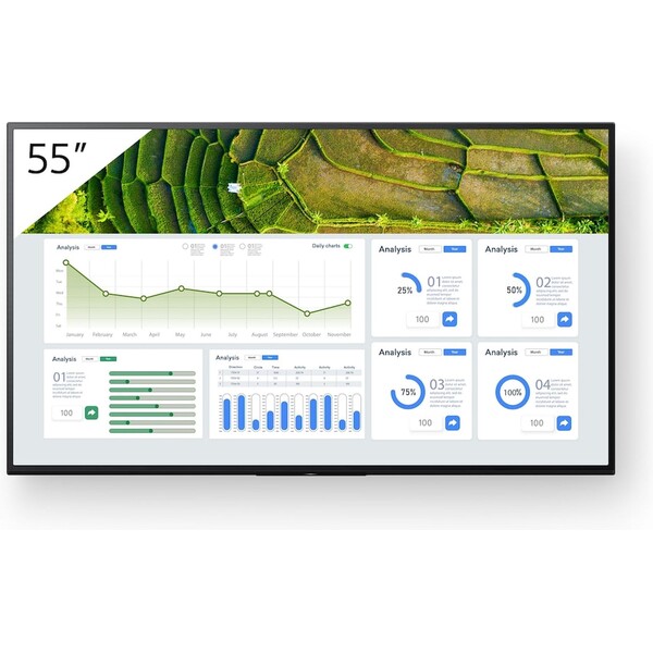 Sony BZ30L FW-55BZ30L  Černá