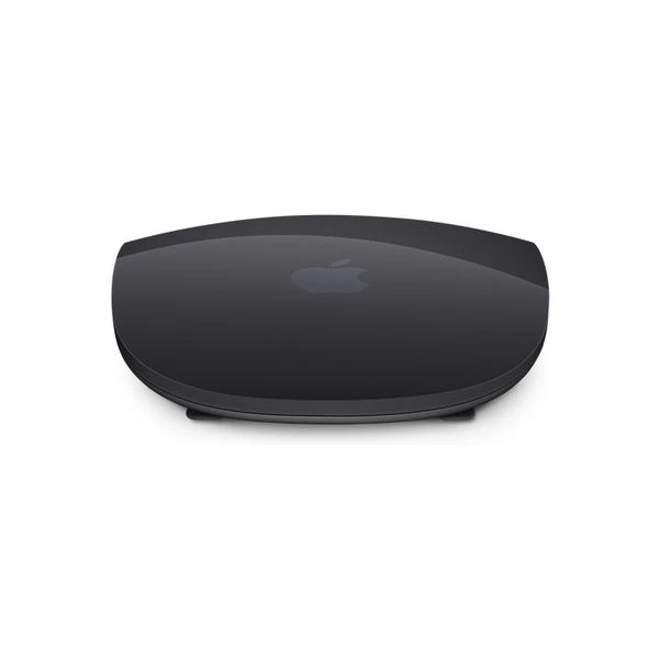 Apple Magic Mouse 2 vesmírně šedá (Další) - Myši - Obrázek EUHP000101