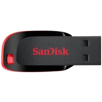 SanDisk Cruzer Blade USB 2.0 flash disk 32GB černý - Flashdisky