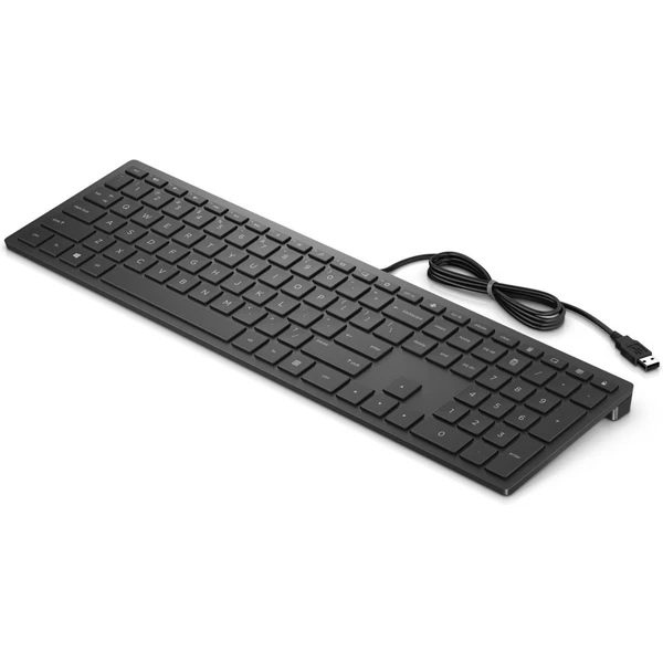 HP Pavilion 300 klávesnice CZ - Klávesnice - Obrázek FG66300301