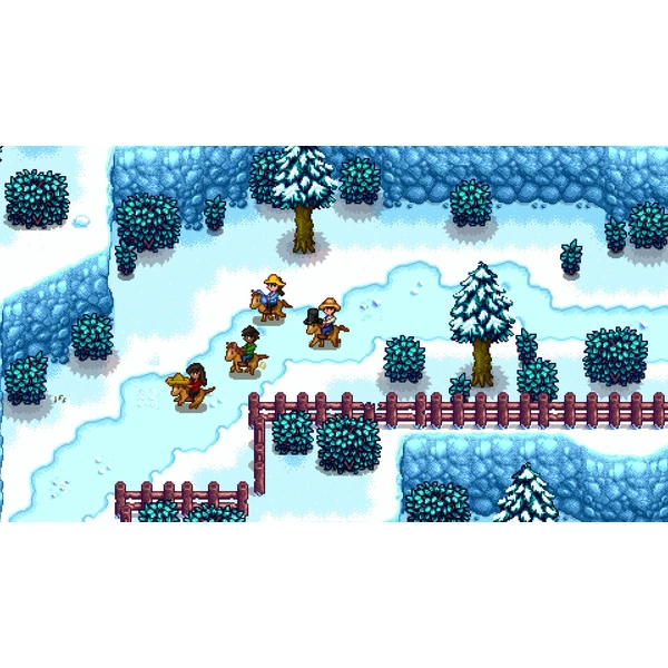 Stardew Valley (SWITCH) - Hry pro Nintendo Switch - Obrázek FMK3100201