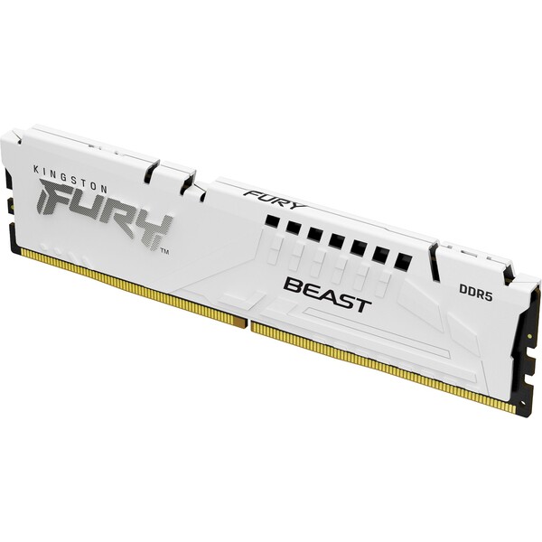 Kingston FURY Beast White DDR5 16GB 6800MHz CL34 DIMM (1x16GB) XMP (KF568C34BW-16) Bílá