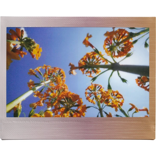 Fujifilm Instax Wide Brushed Metal film (10 ks) - Filmy pro instantní fotoaparáty - Obrázek G49C000K01