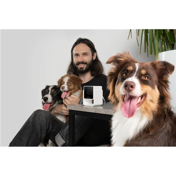 PetCube Cam bezpečnostní kamera - Kamery - Obrázek G5T5000J01