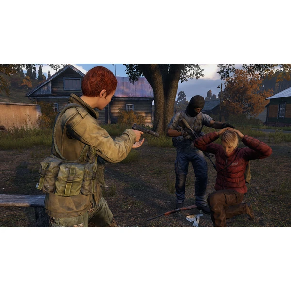 DayZ (PS4) - Hry pro PS4 - Obrázek G9J3100201